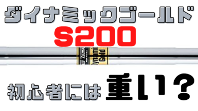DGS200-390x219.png
